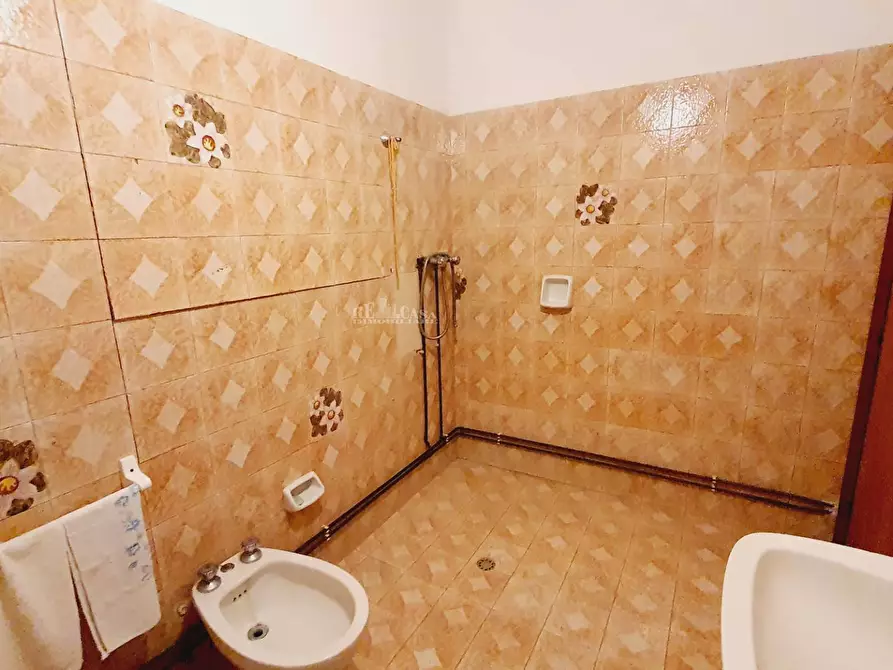 Immagine 21 di Terreno agricolo in vendita  in CONTRADA FOROLA a Acquaviva Picena