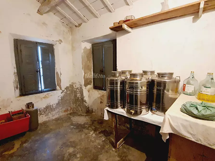 Immagine 27 di Terreno agricolo in vendita  in CONTRADA FOROLA a Acquaviva Picena