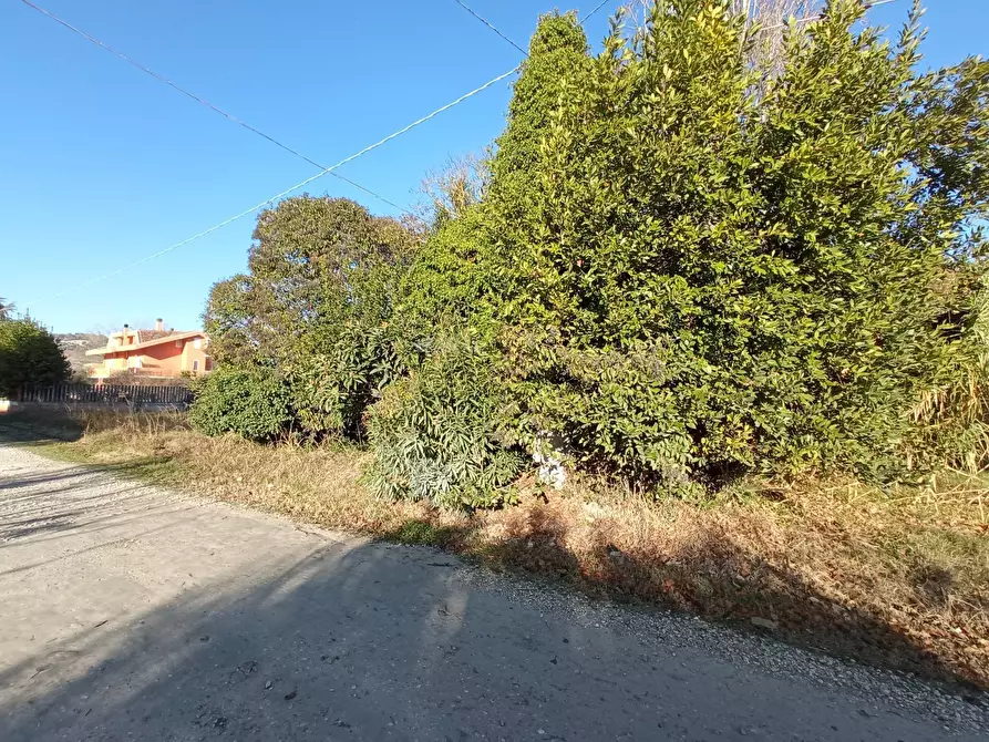 Immagine 2 di Rustico / casale in vendita  in VIA ROMA a Martinsicuro