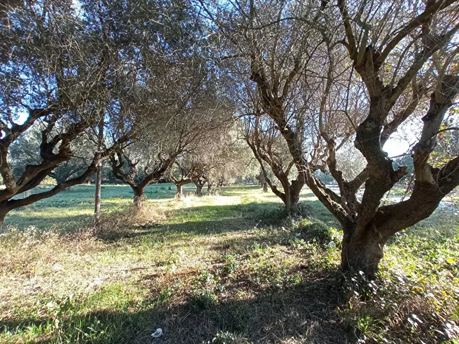 Immagine 4 di Rustico / casale in vendita  in VIA ROMA a Martinsicuro