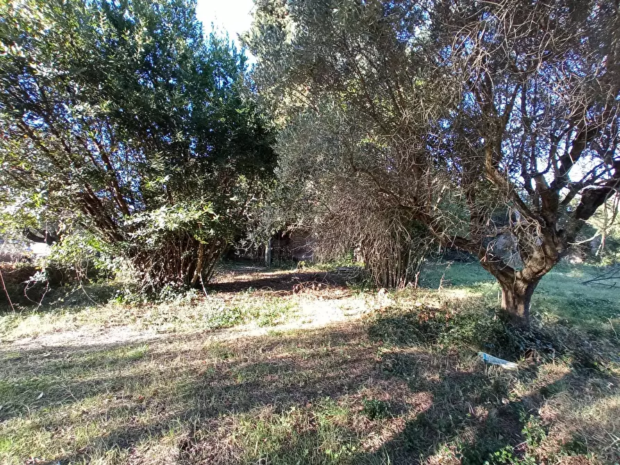 Immagine 6 di Rustico / casale in vendita  in VIA ROMA a Martinsicuro