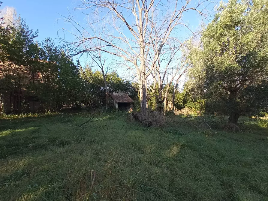Immagine 7 di Rustico / casale in vendita  in VIA ROMA a Martinsicuro