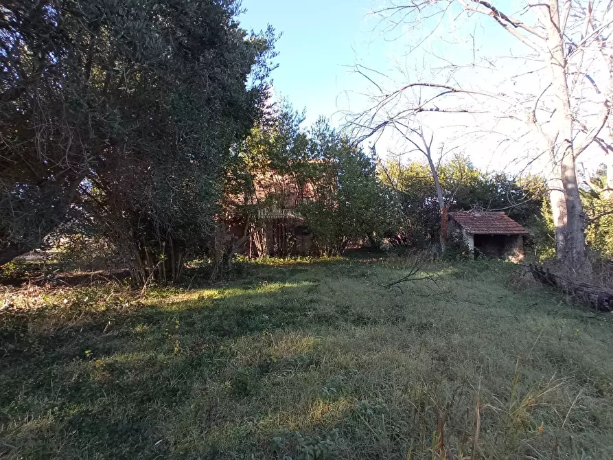 Immagine 8 di Rustico / casale in vendita  in VIA ROMA a Martinsicuro