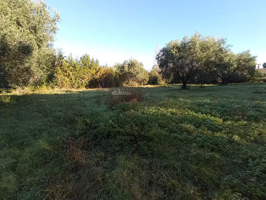 Immagine 9 di Rustico / casale in vendita  in VIA ROMA a Martinsicuro