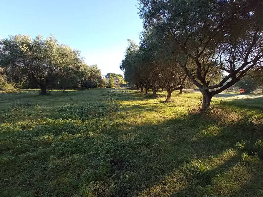 Immagine 10 di Rustico / casale in vendita  in VIA ROMA a Martinsicuro