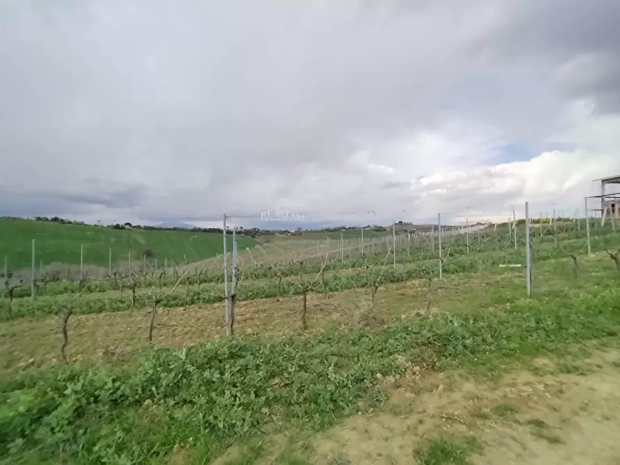 Immagine 1 di Terreno agricolo in vendita  in VIA COLLE NAVICCHIO snc a Monteprandone