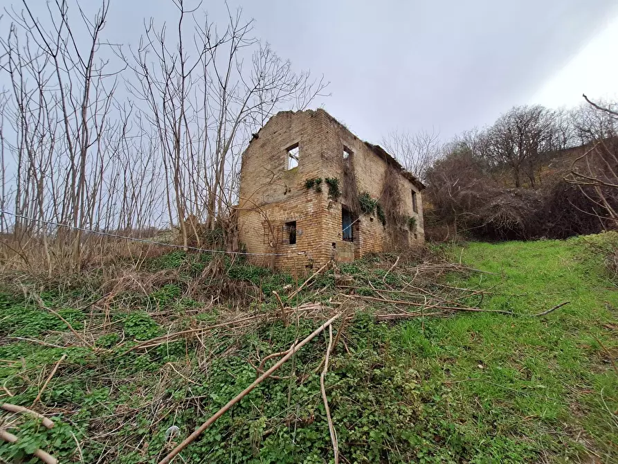 Immagine 1 di Rustico / casale in vendita  in contrada san venanzio a Controguerra