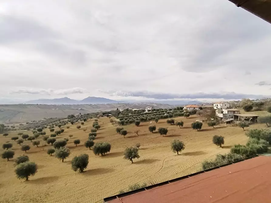 Immagine 21 di Appartamento in vendita  in CONTRADA RIO MORO 65 a Ancarano