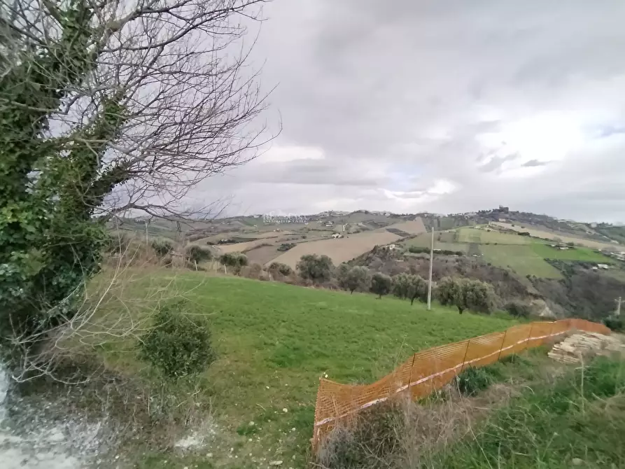 Immagine 2 di Terreno agricolo in vendita  in via Colle Appeso snc a Monteprandone
