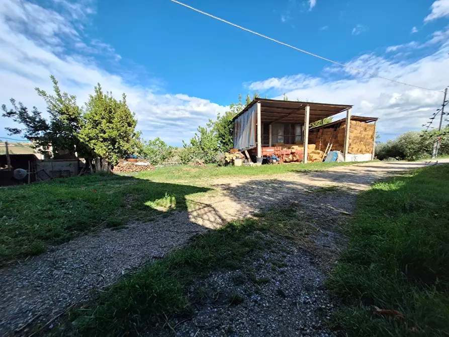 Immagine 31 di Casa indipendente in vendita  in Via San Lazzaro a Offida