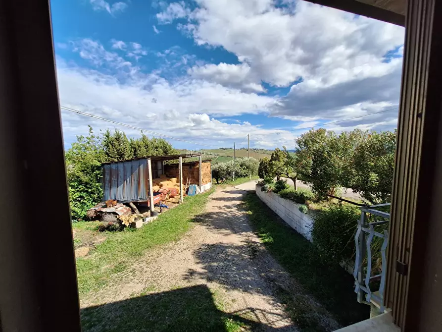 Immagine 32 di Casa indipendente in vendita  in Via San Lazzaro a Offida