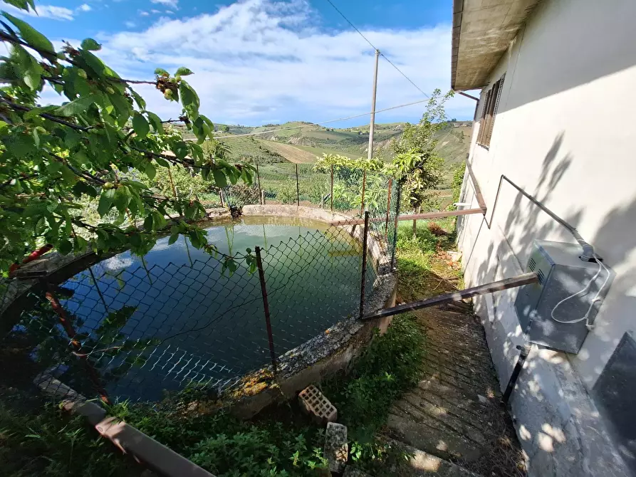 Immagine 34 di Casa indipendente in vendita  in Via San Lazzaro a Offida