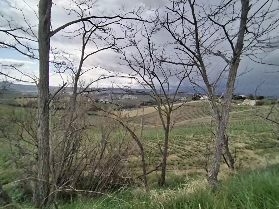 Immagine 3 di Terreno agricolo in vendita  in via colle appeso snc a Monteprandone