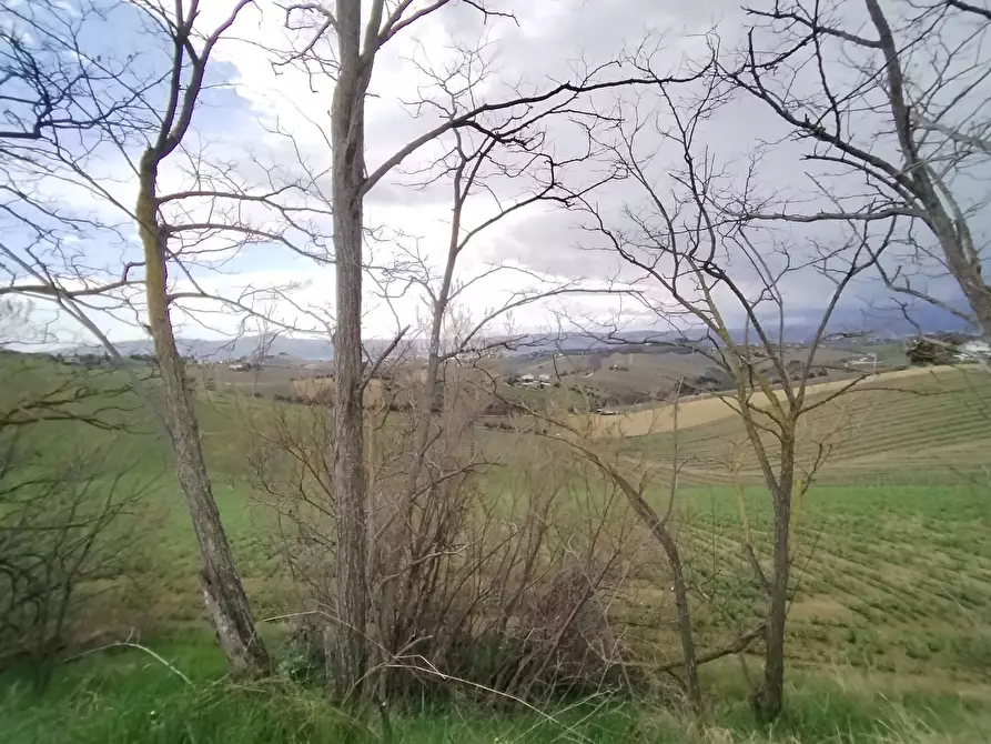 Immagine 4 di Terreno agricolo in vendita  in via colle appeso snc a Monteprandone
