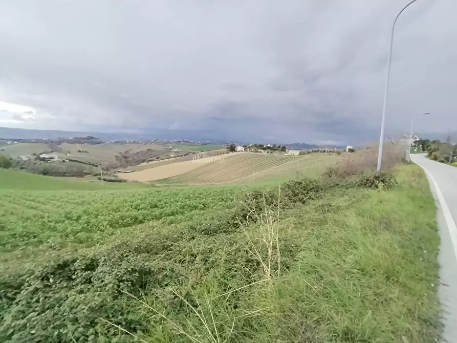Immagine 5 di Terreno agricolo in vendita  in via colle appeso snc a Monteprandone