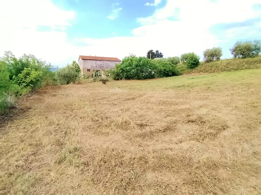 Immagine 9 di Rustico / casale in vendita  in contrada spiagge snc a Monteprandone