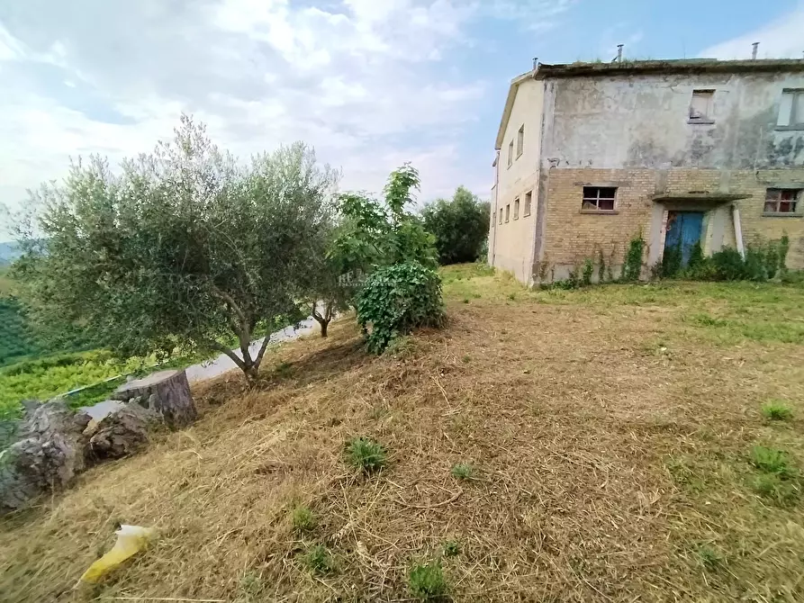 Immagine 5 di Rustico / casale in vendita  in contrada spiagge snc a Monteprandone