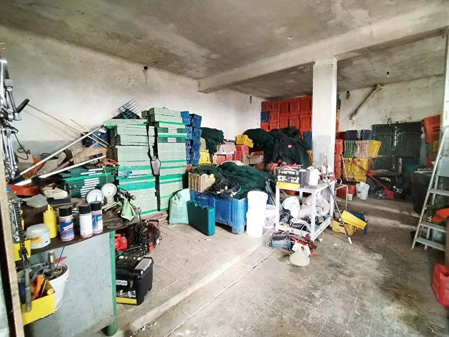 Immagine 14 di Rustico / casale in vendita  in contrada spiagge snc a Monteprandone