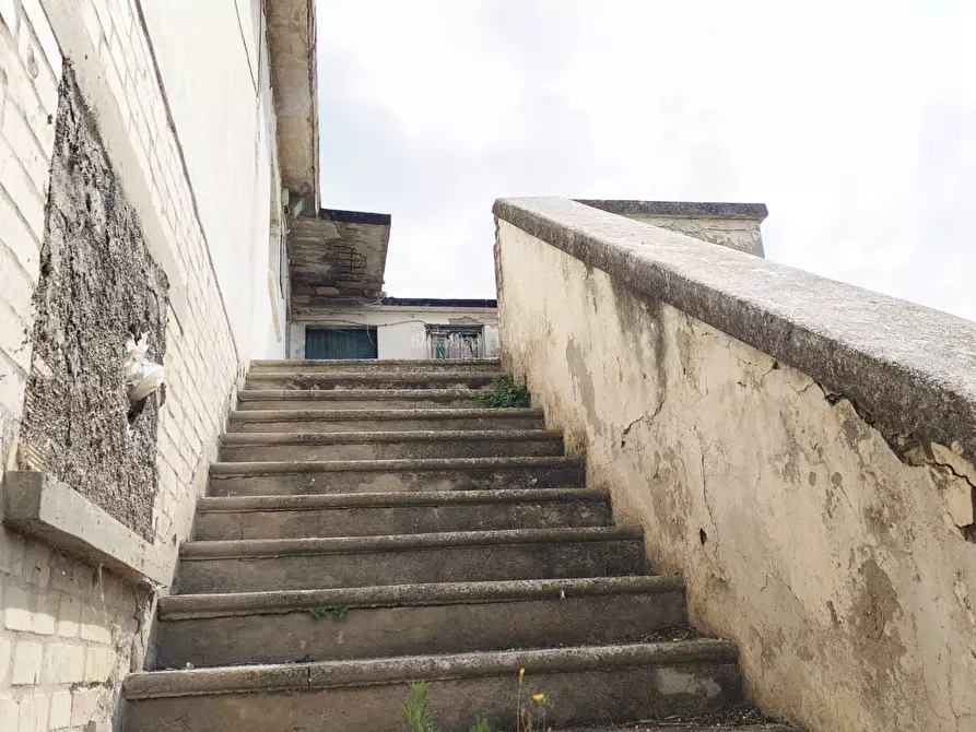 Immagine 17 di Rustico / casale in vendita  in contrada spiagge snc a Monteprandone