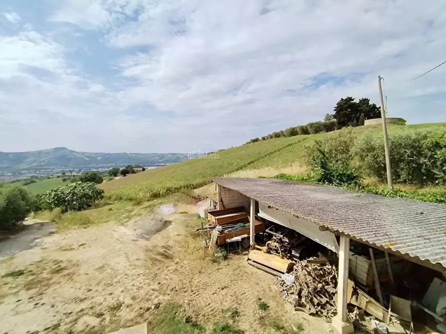 Immagine 38 di Rustico / casale in vendita  in contrada spiagge snc a Monteprandone