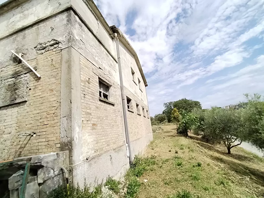 Immagine 46 di Rustico / casale in vendita  in contrada spiagge snc a Monteprandone
