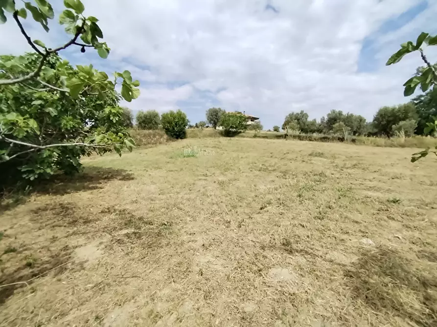 Immagine 49 di Rustico / casale in vendita  in contrada spiagge snc a Monteprandone