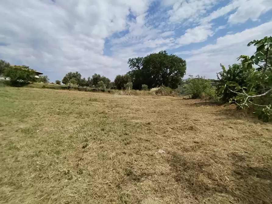 Immagine 50 di Rustico / casale in vendita  in contrada spiagge snc a Monteprandone