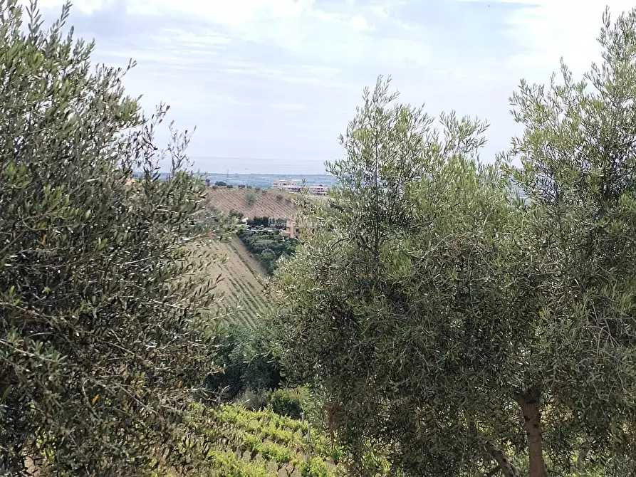 Immagine 51 di Rustico / casale in vendita  in contrada spiagge snc a Monteprandone