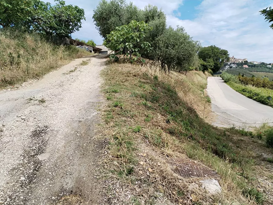 Immagine 53 di Rustico / casale in vendita  in contrada spiagge snc a Monteprandone