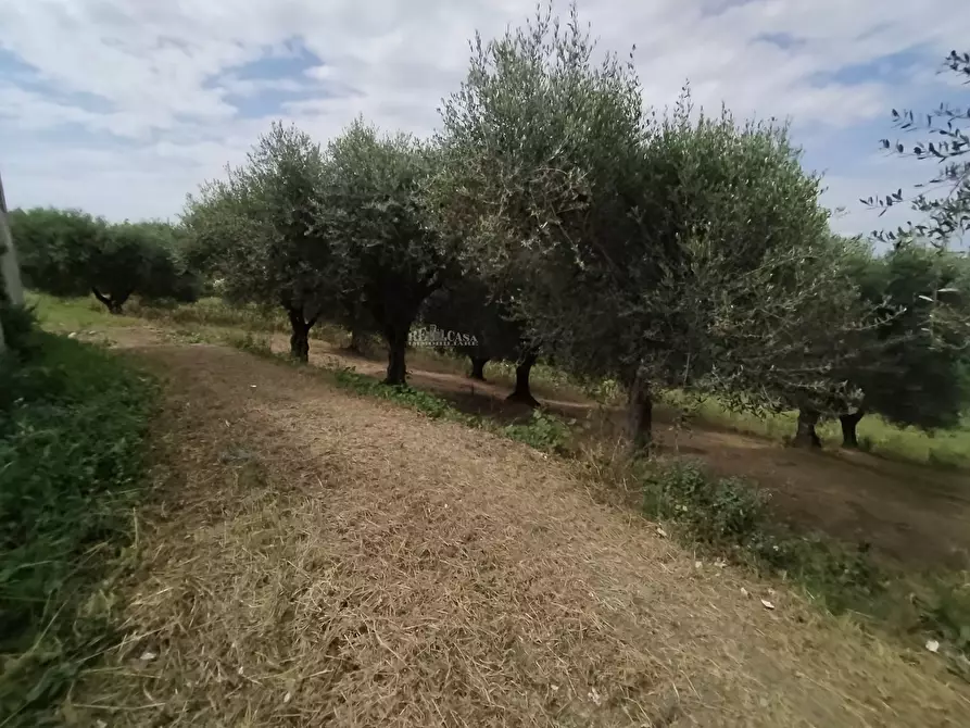 Immagine 4 di Rustico / casale in vendita  in contrada spiagge 23 a Monteprandone