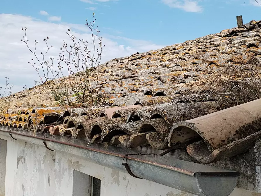 Immagine 12 di Rustico / casale in vendita  in contrada spiagge 23 a Monteprandone