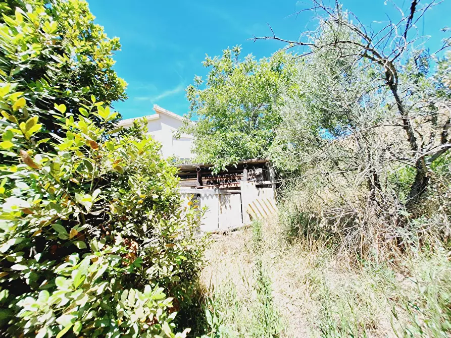 Immagine 46 di Casa indipendente in vendita  in cda pittura a Ripatransone