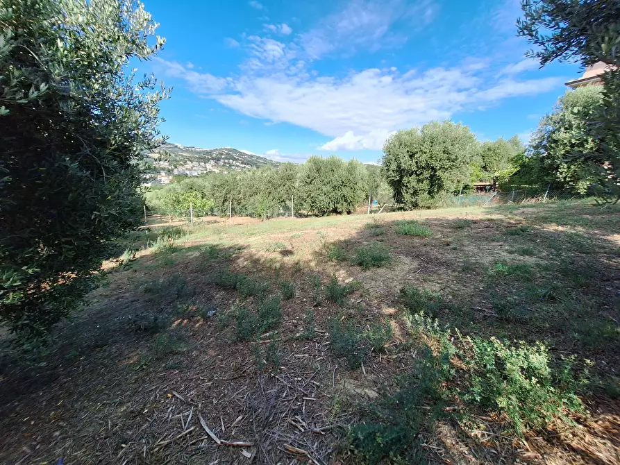 Immagine 1 di Terreno residenziale in vendita  in via colle euganei a San Benedetto Del Tronto