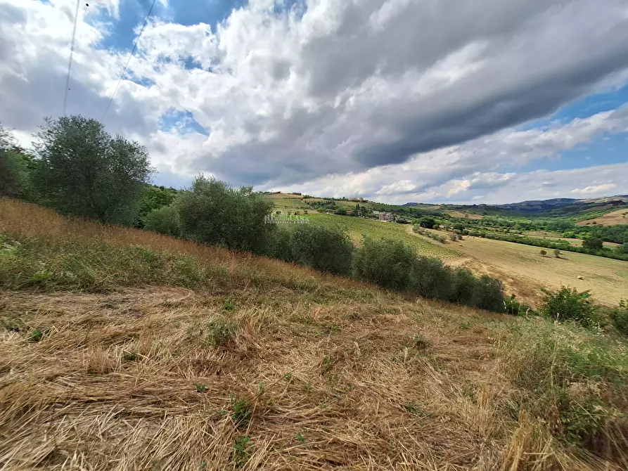 Immagine 20 di Rustico / casale in vendita  in via pietro nenni 7 a Spinetoli