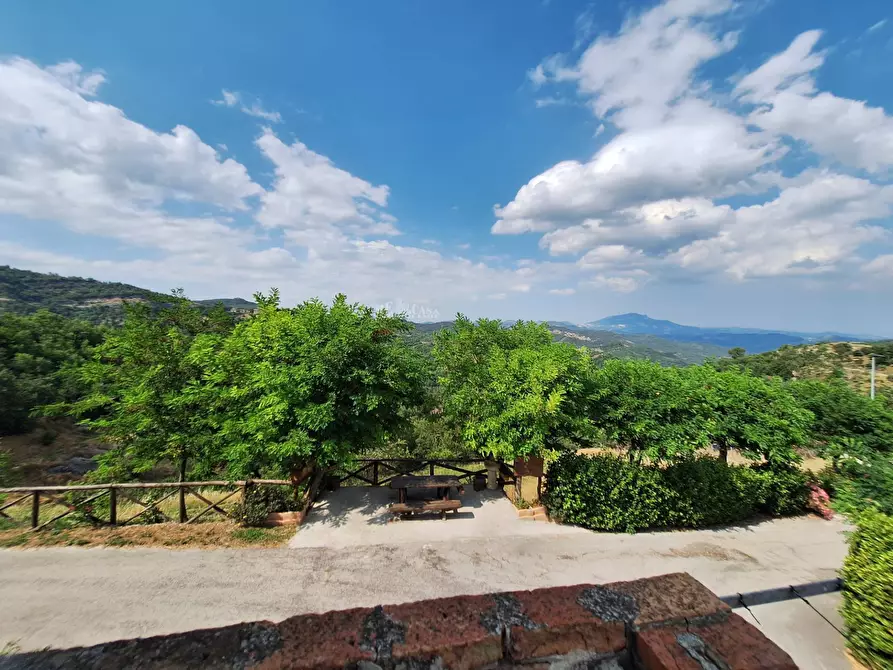 Immagine 12 di Rustico / casale in vendita  in frazione Scalelle a Roccafluvione