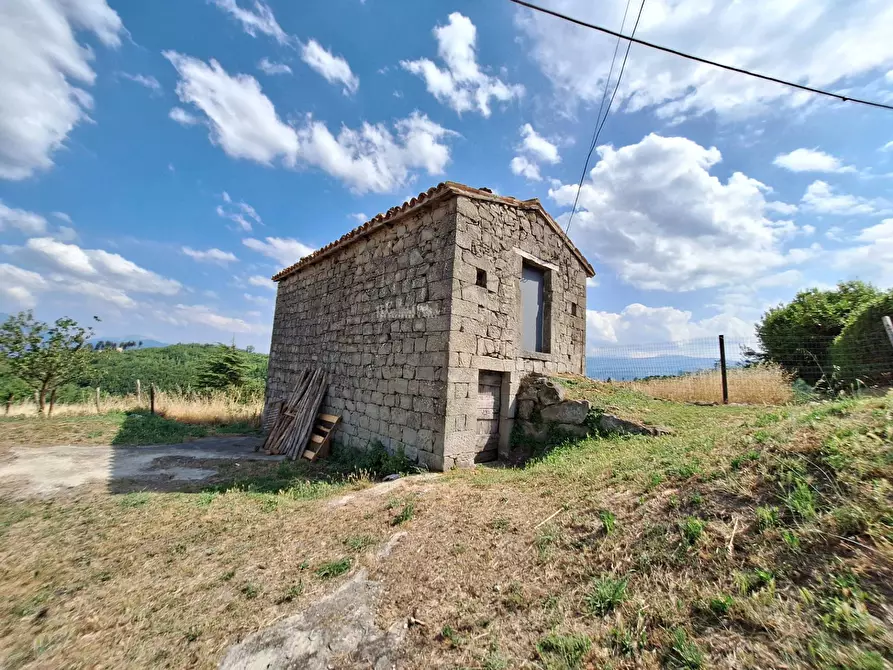 Immagine 14 di Rustico / casale in vendita  in frazione Scalelle a Roccafluvione