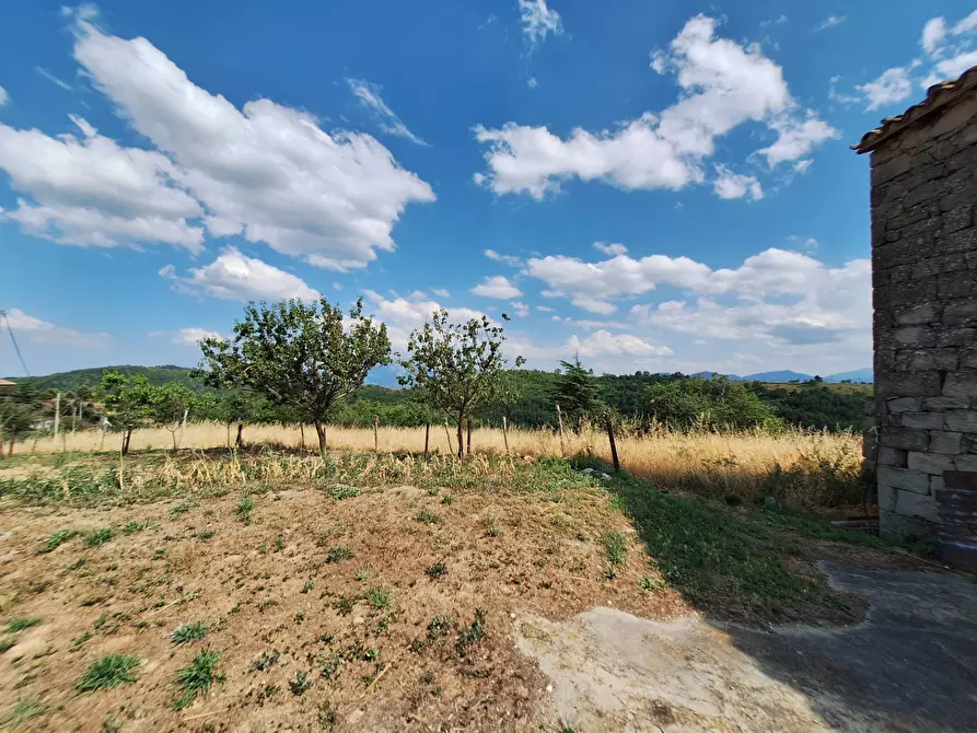 Immagine 23 di Rustico / casale in vendita  in frazione Scalelle a Roccafluvione
