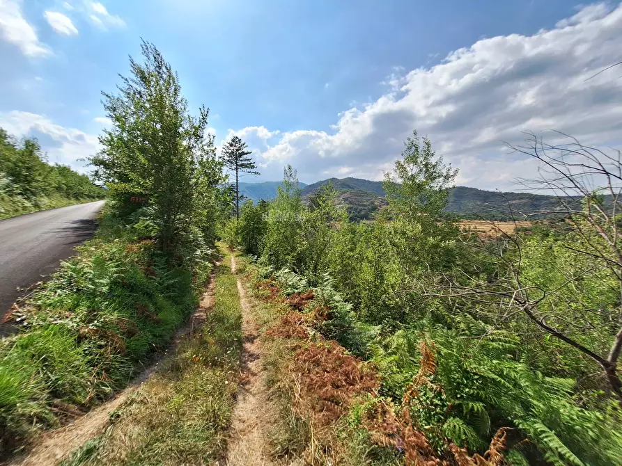 Immagine 25 di Rustico / casale in vendita  in frazione Scalelle a Roccafluvione