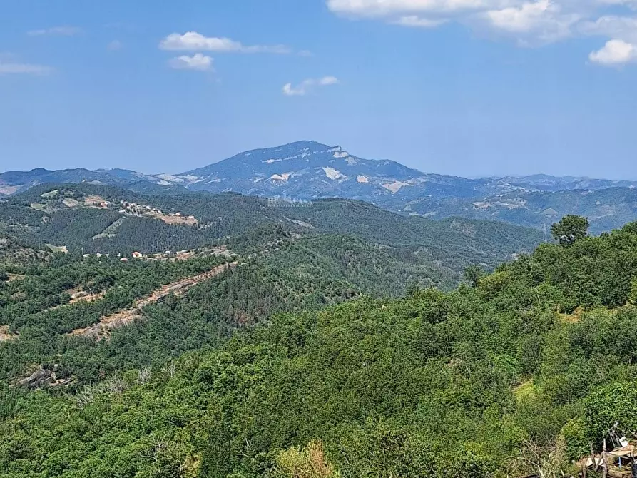 Immagine 28 di Rustico / casale in vendita  in frazione Scalelle a Roccafluvione
