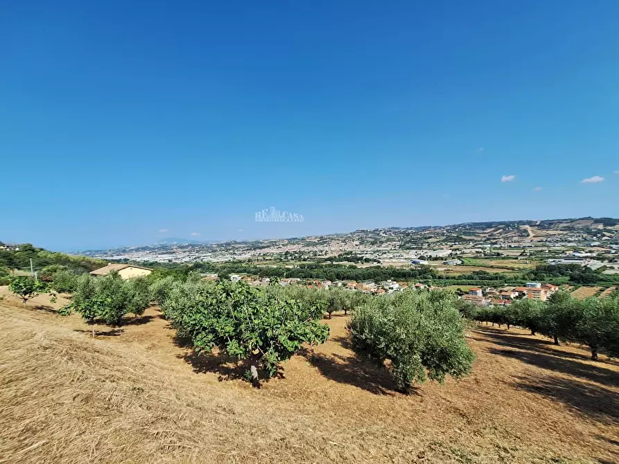 Immagine 9 di Terreno agricolo in vendita  in contrada san giovanni a Colonnella