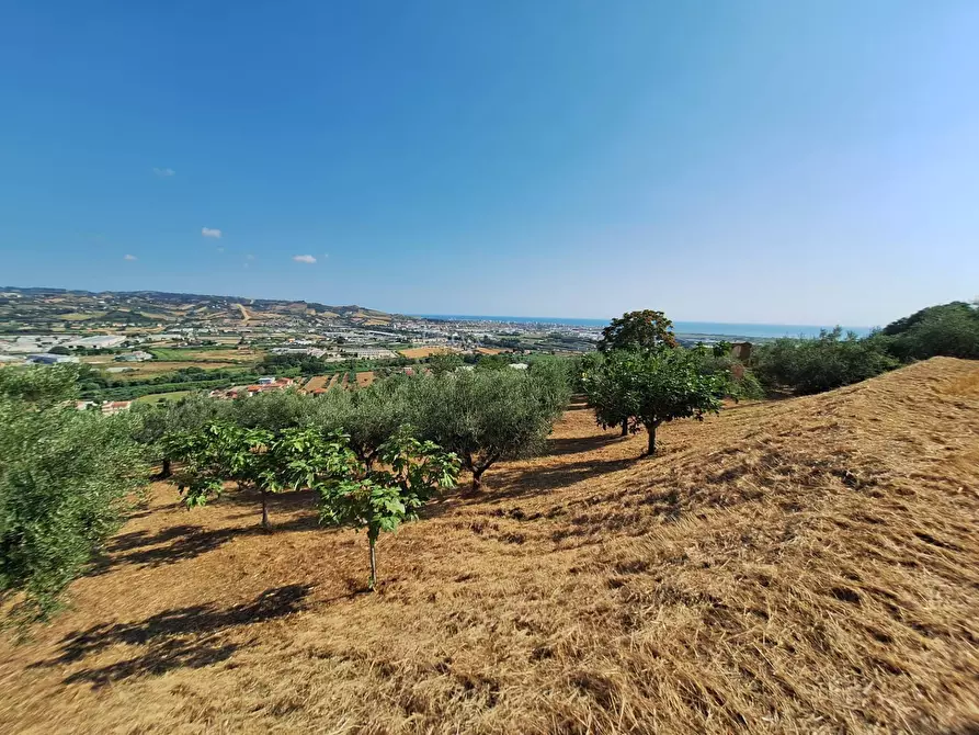 Immagine 10 di Terreno agricolo in vendita  in contrada san giovanni a Colonnella