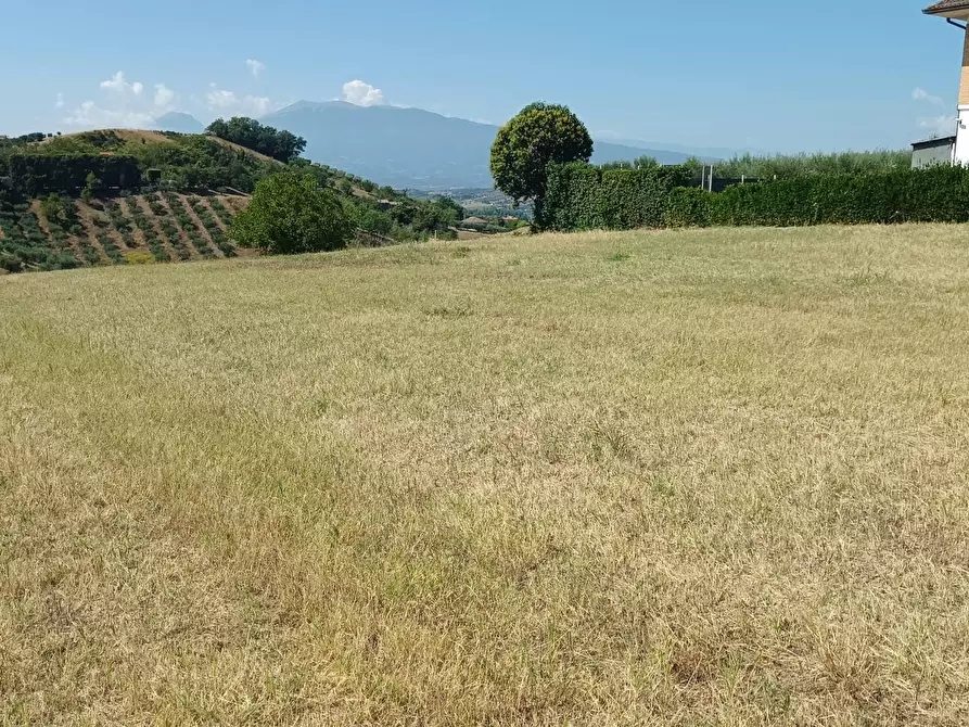 Immagine 3 di Terreno residenziale in vendita  in strada provinciale 18 snc a Castorano