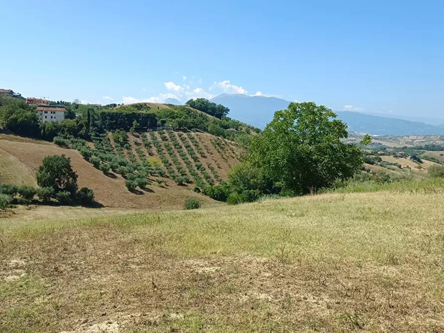 Immagine 11 di Terreno residenziale in vendita  in strada provinciale 18 snc a Castorano