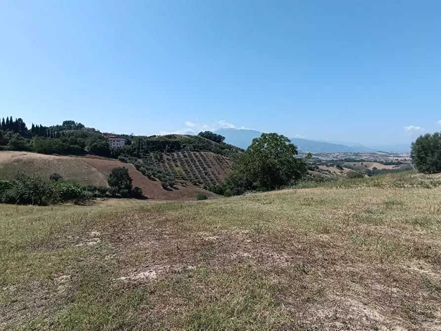 Immagine 12 di Terreno residenziale in vendita  in strada provinciale 18 snc a Castorano