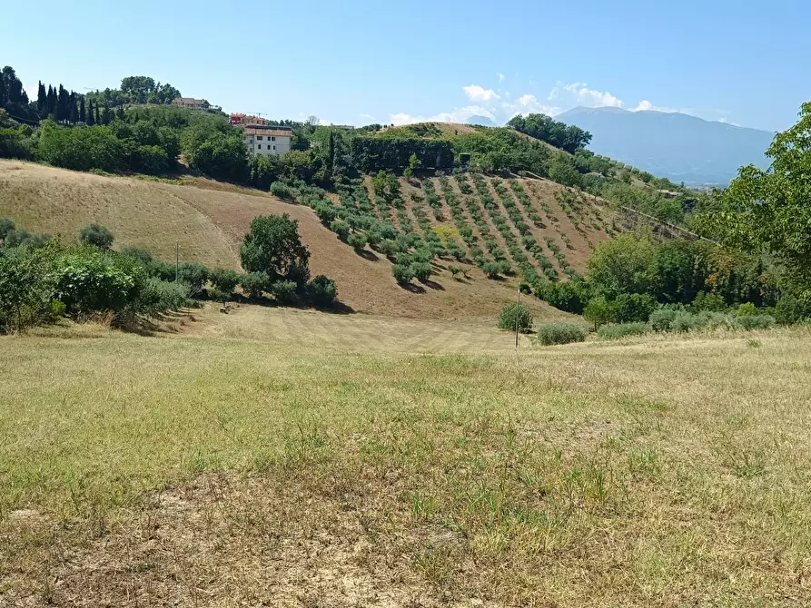 Immagine 13 di Terreno residenziale in vendita  in strada provinciale 18 snc a Castorano