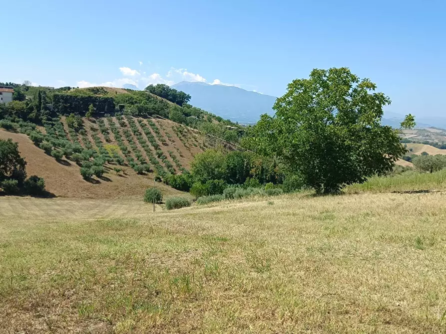 Immagine 14 di Terreno residenziale in vendita  in strada provinciale 18 snc a Castorano