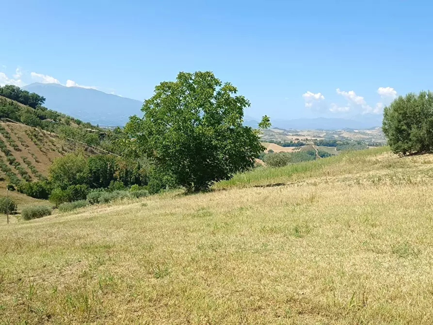 Immagine 15 di Terreno residenziale in vendita  in strada provinciale 18 snc a Castorano