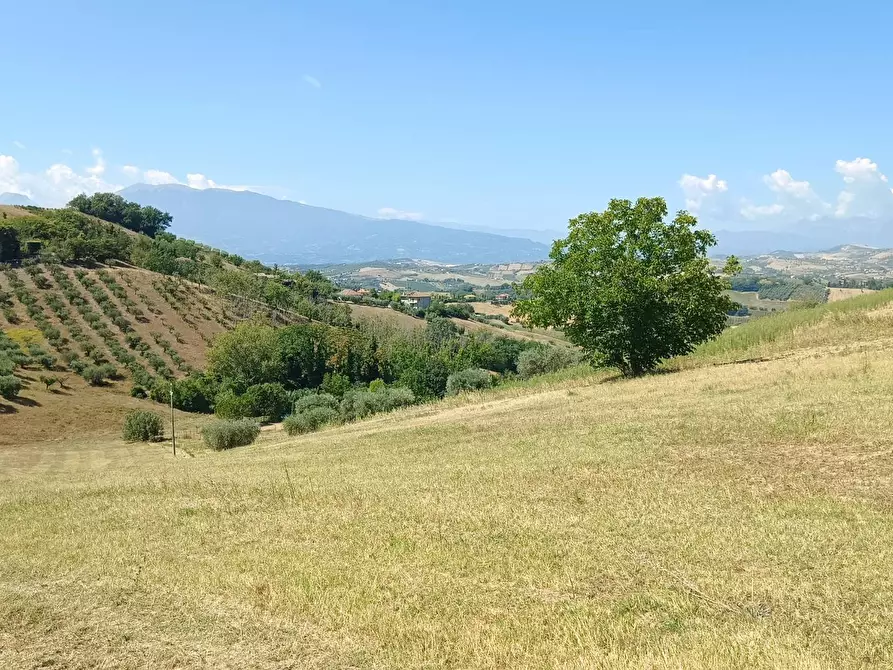 Immagine 18 di Terreno residenziale in vendita  in strada provinciale 18 snc a Castorano