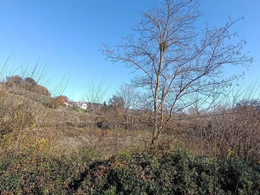 Immagine 43 di Casa indipendente in vendita  in strada provinciale 91 40 a Montefiore Dell'aso