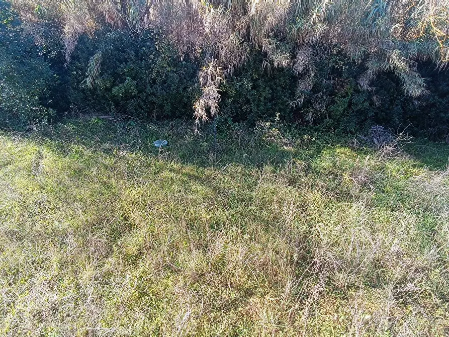 Immagine 46 di Casa indipendente in vendita  in strada provinciale 91 40 a Montefiore Dell'aso